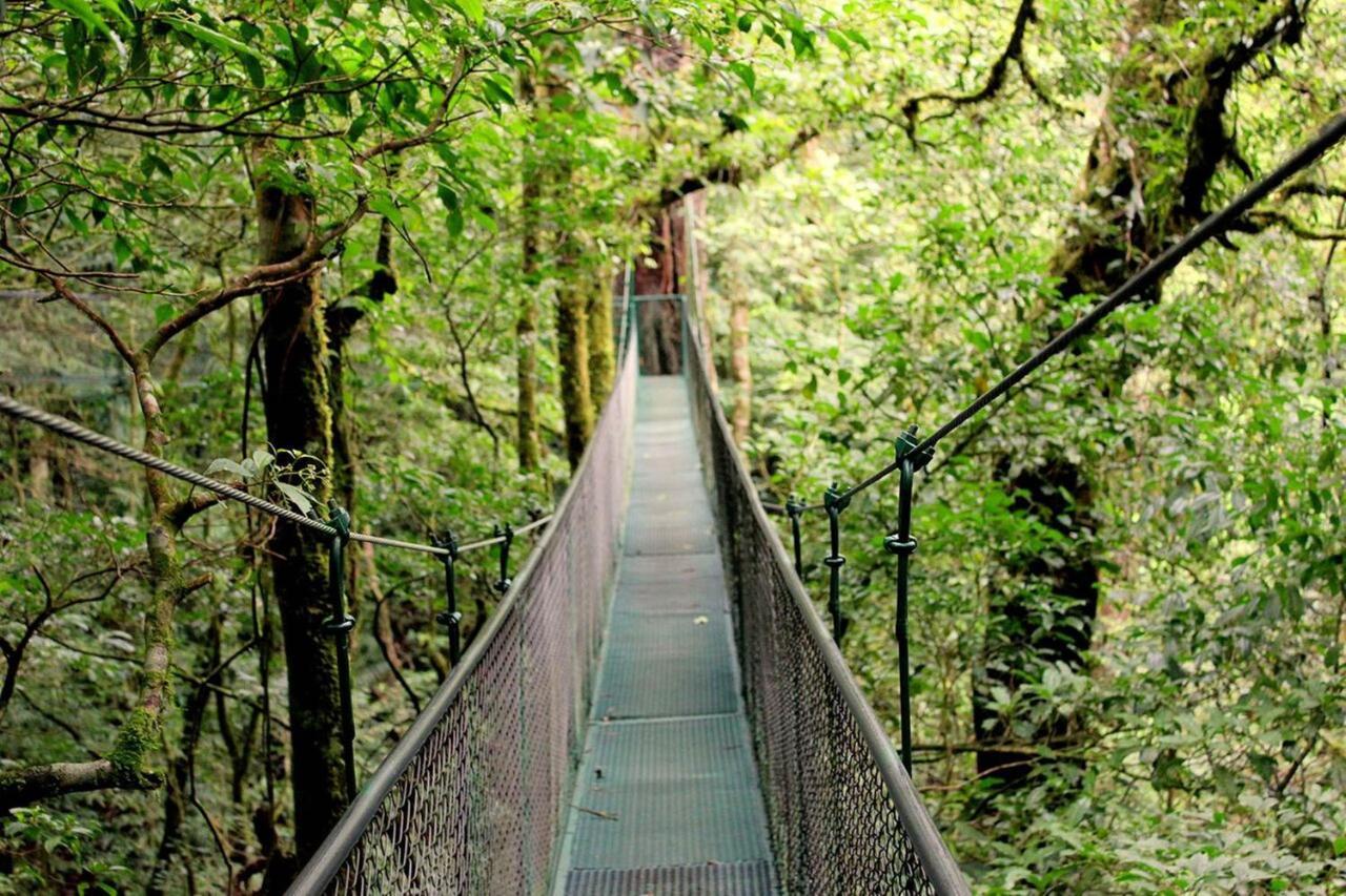 Que Tuanis Hostel Monteverde Exteriér fotografie